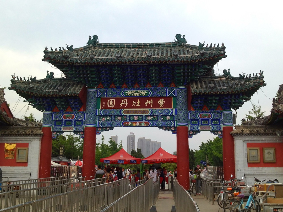 菏泽曹州牡丹园-曹县必去景点