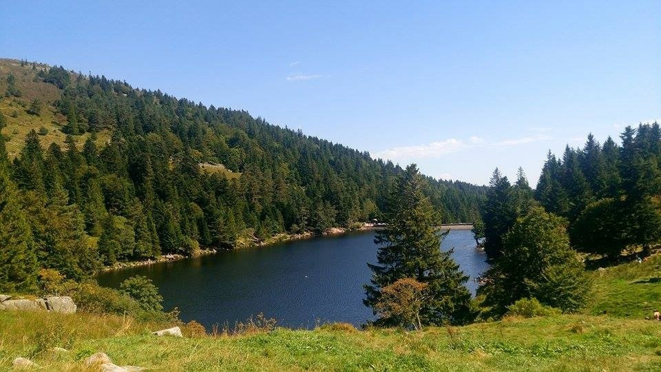 Soultzeren旅游景点-Lac des Truites