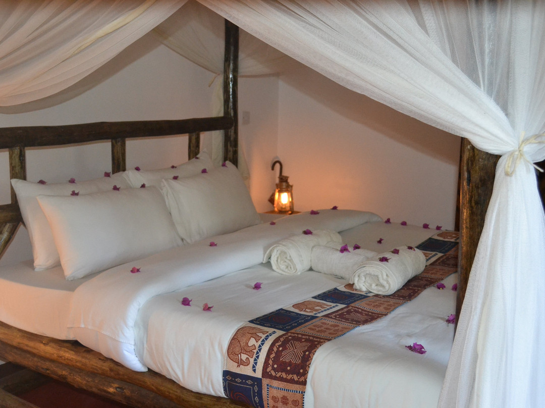 Nkoanrua酒店住宿-Ambureni Coffee Lodge