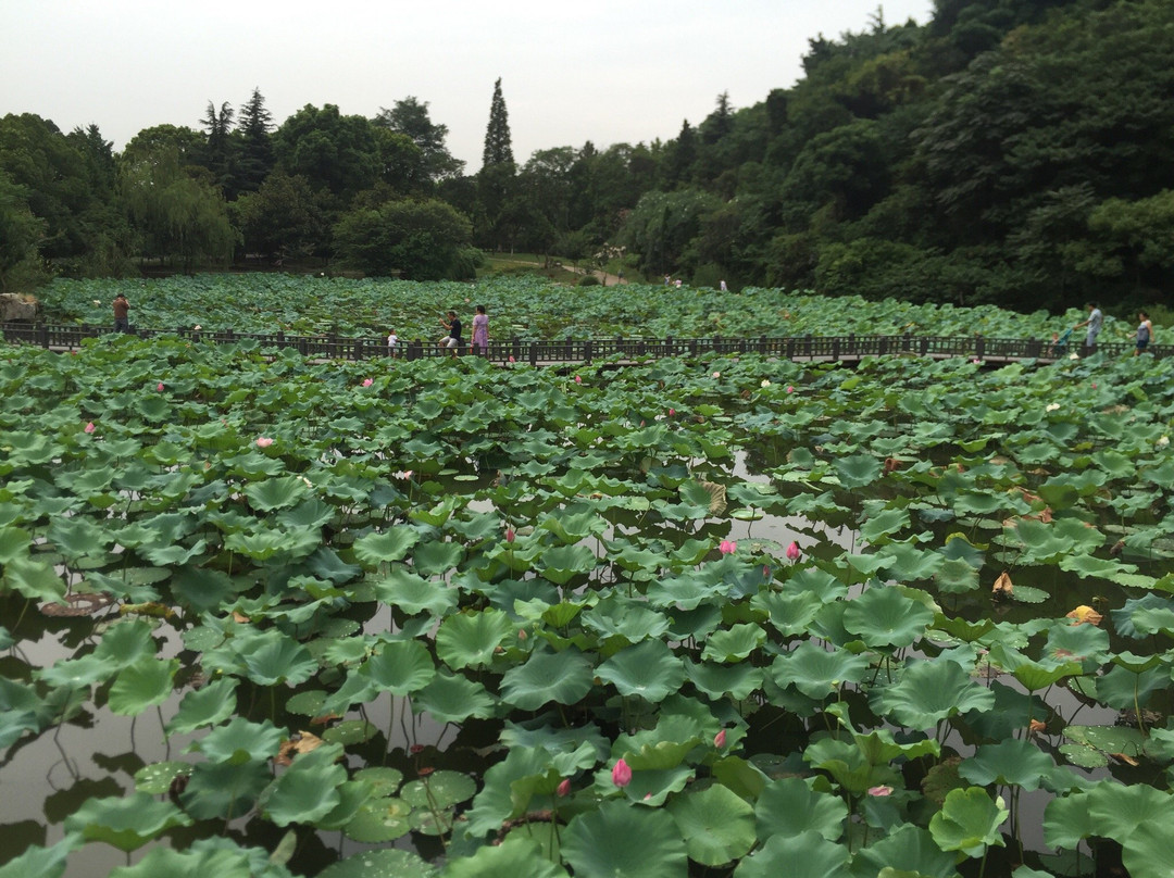 玉峰山-昆山市必去景点