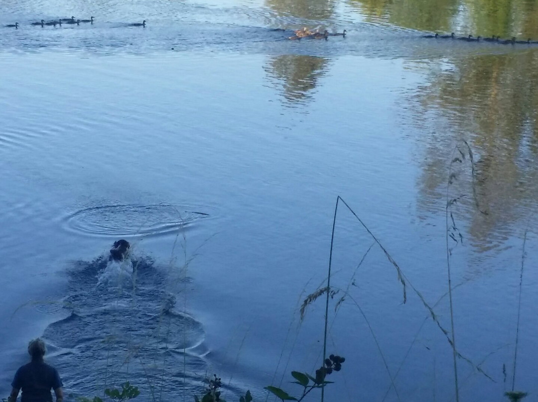 Riverfront Commemorative Park-科瓦利斯必去景点
