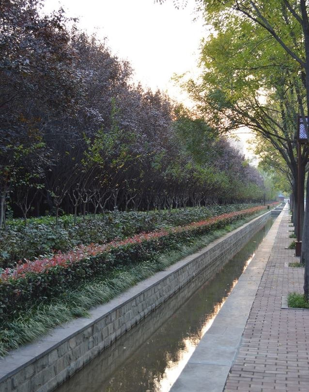 隋唐城植物园-洛阳市必去景点