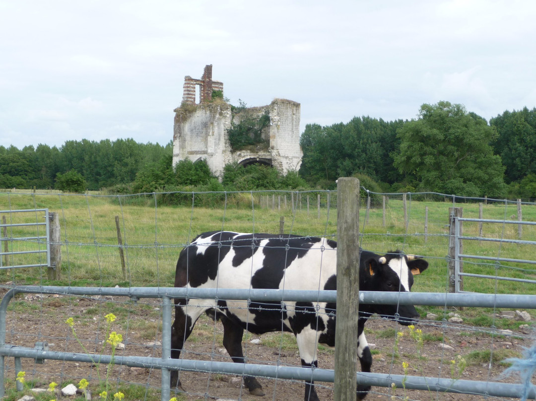Ruines de l'Abbaye Notre Dame de Clairmarais景点图片