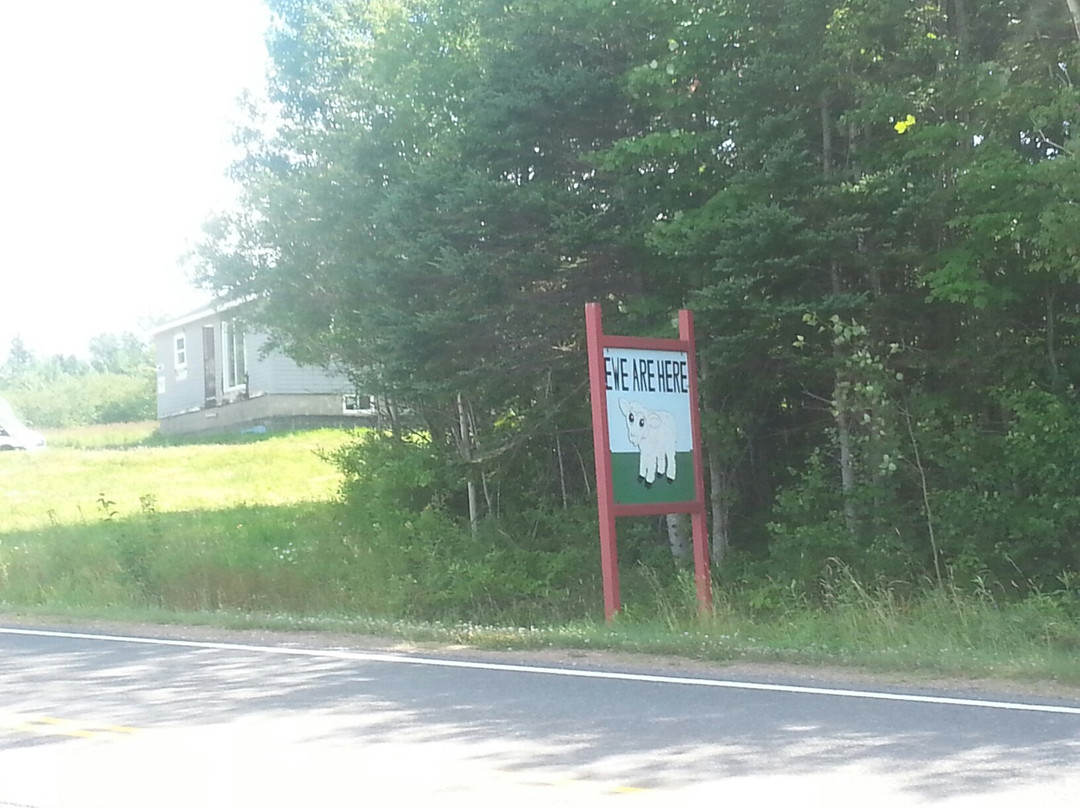 Margaree Harbour Craft & Gift Shop-Margaree Harbour必去景点