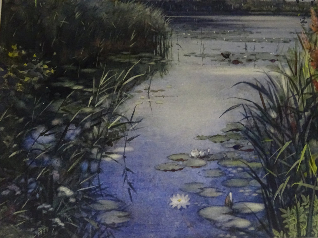 Vogelreservaat Polder IJdoorn景点图片