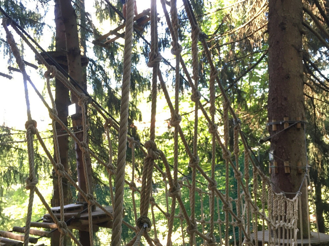 Parc Family Aventure景点图片
