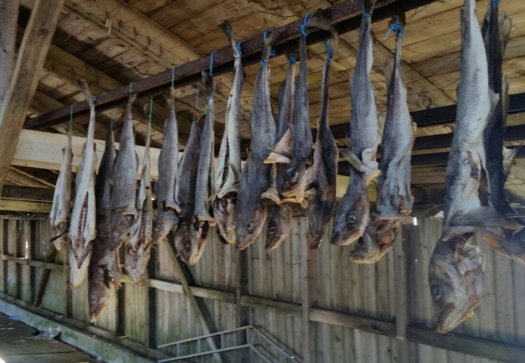 Qoornoq-努克必去景点