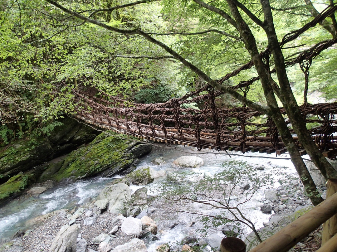 Okuiya Niju Kazurabashi Bridge-三好市必去景点