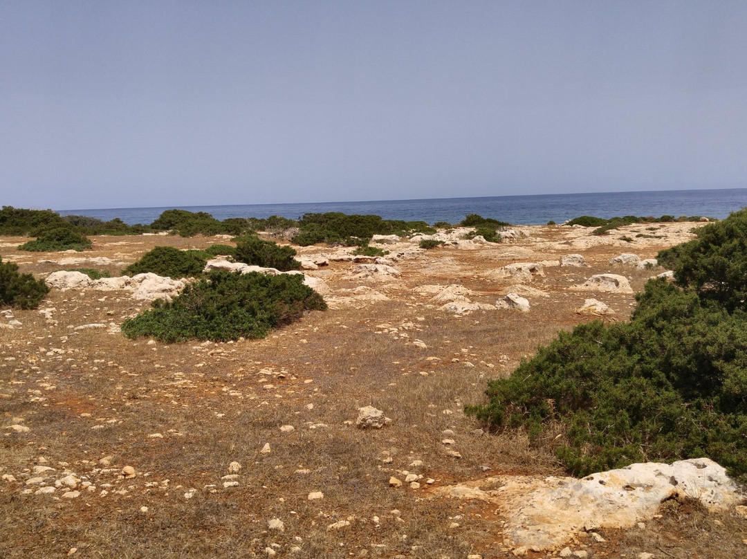 Fontana Amoroza-Lachi必去景点