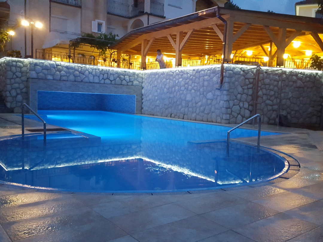 Pansion Dragica主图