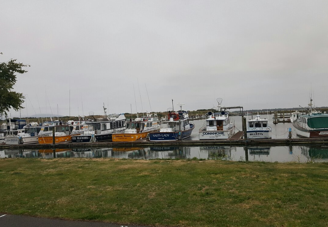 Port of Ilwaco Boardwalk景点图片