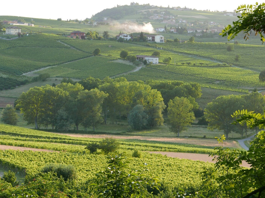 Azienda Dacasto Duilio景点图片