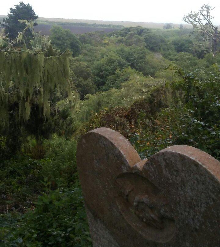 Ghost Town of Purissima-半月湾必去景点