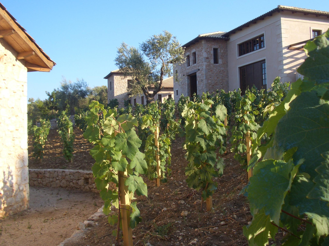 Lefkas Earth Winery景点图片