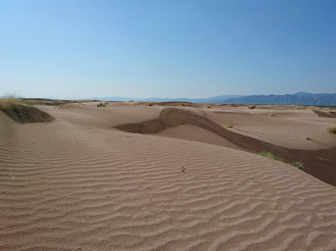 Viesca旅游攻略图片