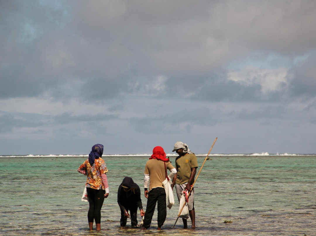 Navo Cave Tour-辛加东卡必去景点