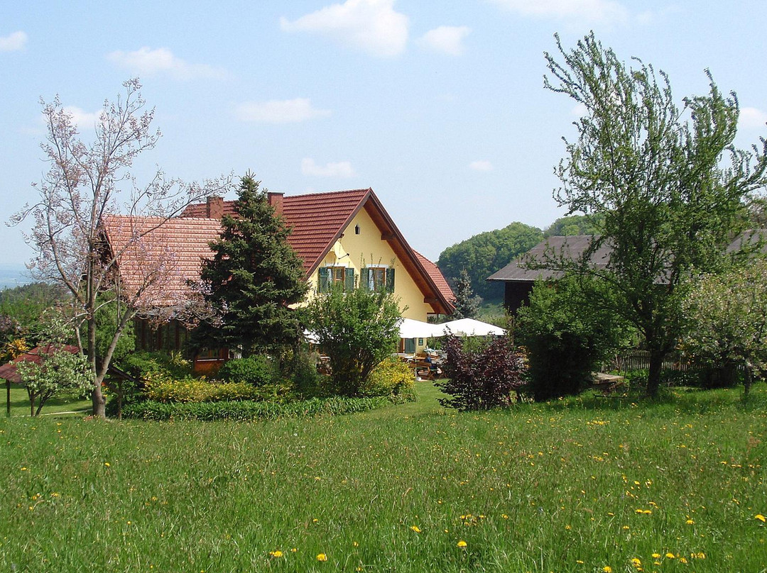 Ratsch an der Weinstrasse餐馆和美食-Pilch