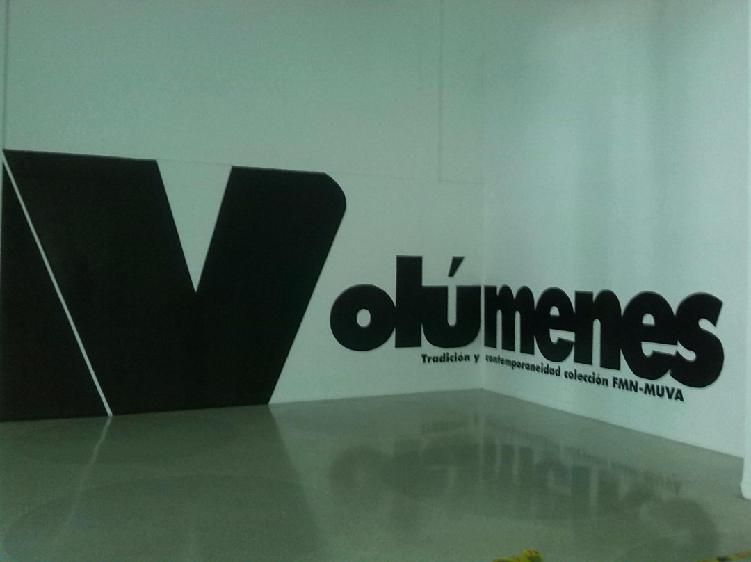 Museo de Arte Valencia景点图片