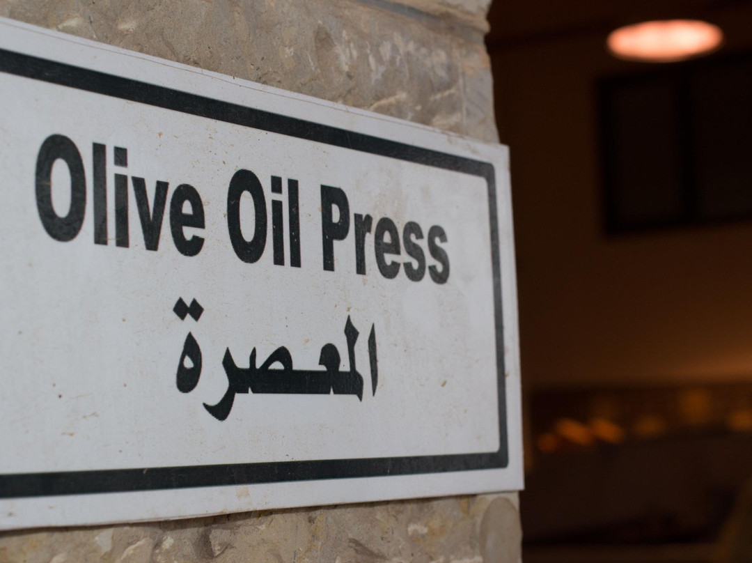 Canaan Fair Trade-Jenin必去景点