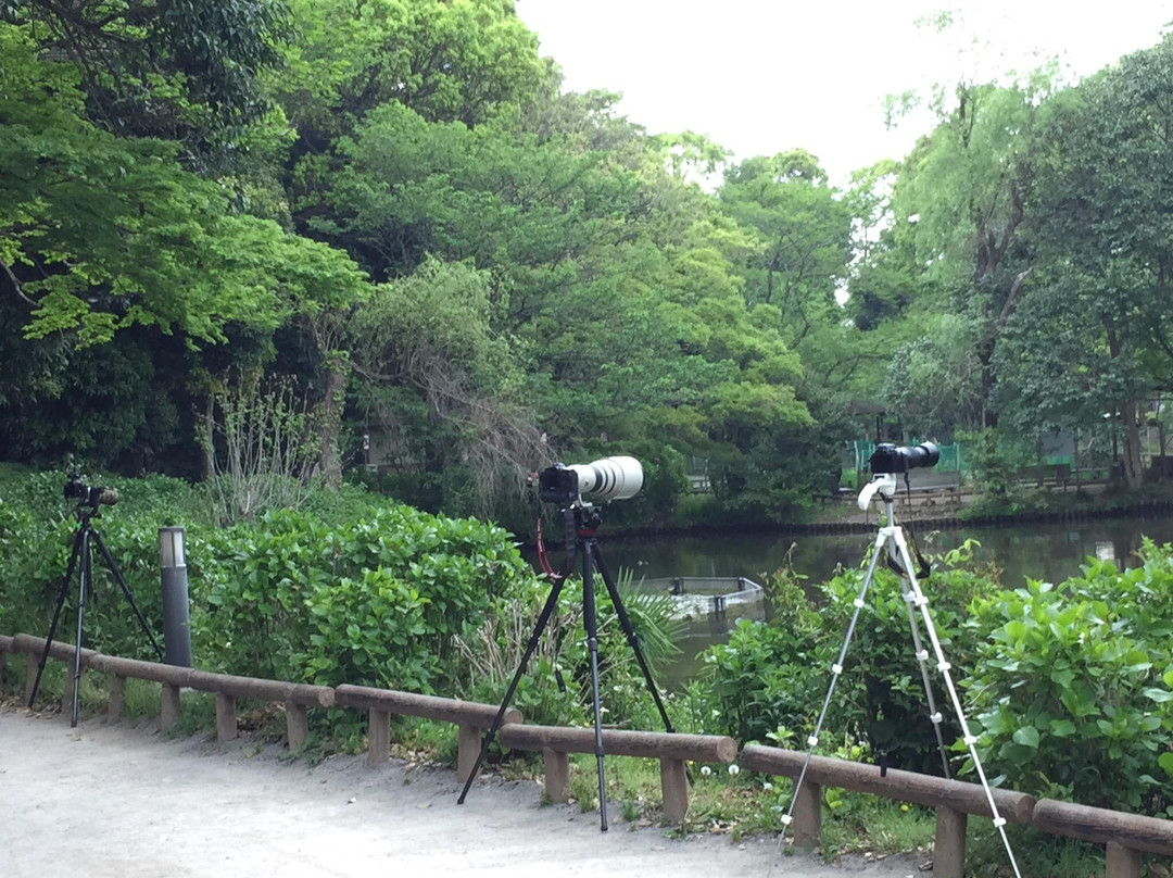 Fujisaki Shinrin Park-习志野市必去景点