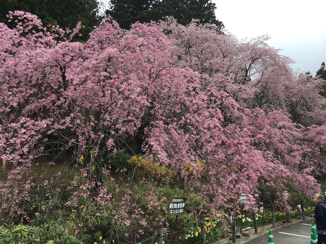 Kozenji Temple