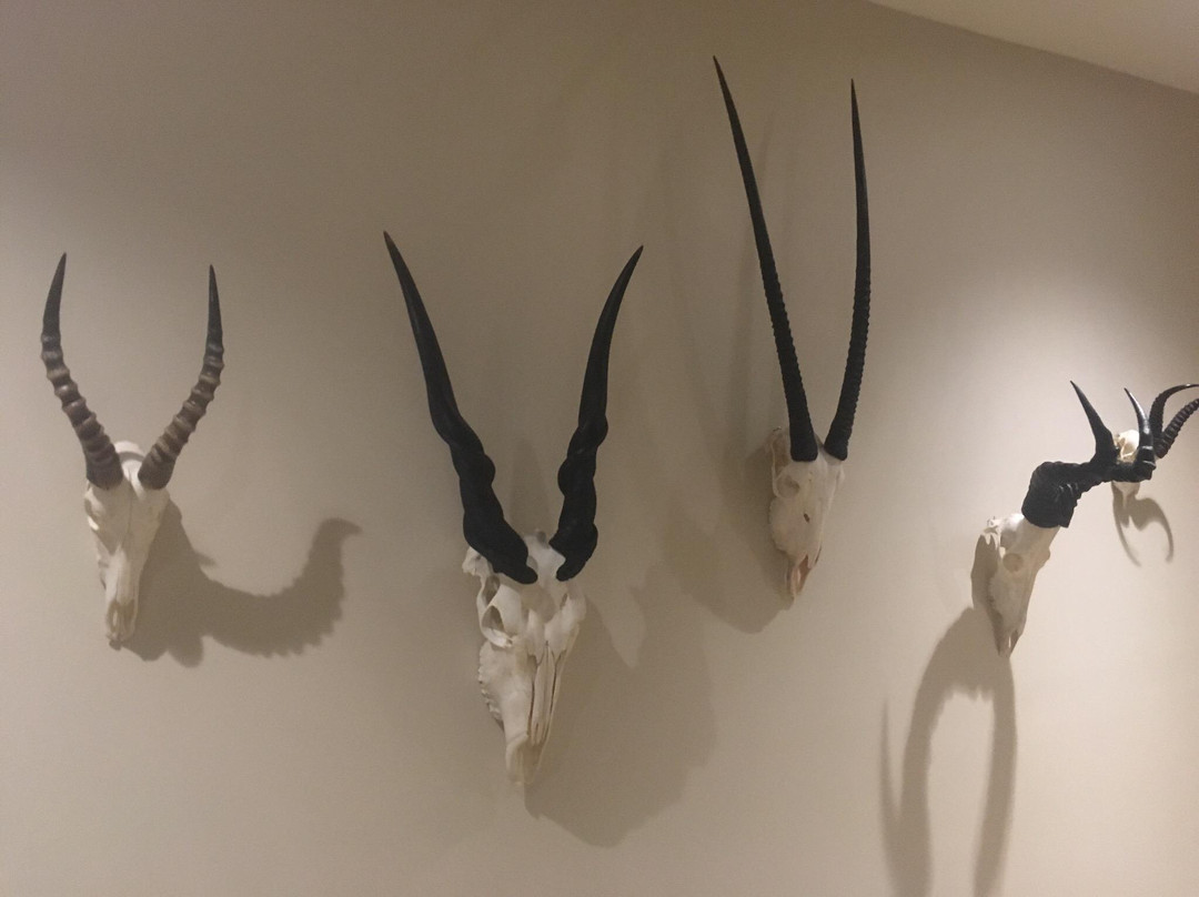 Rooipoort Nature Reserve-金伯利必去景点