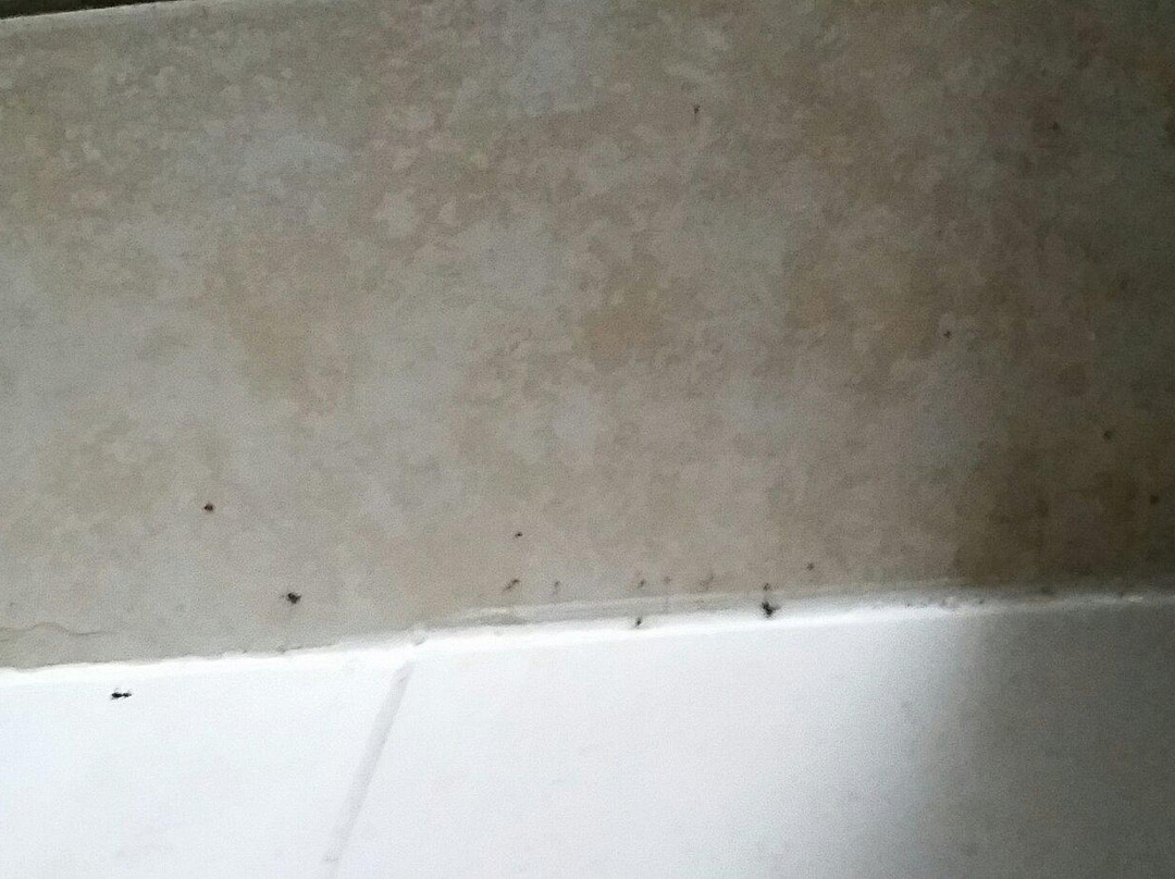 Noordzeepark Zeepolder主图