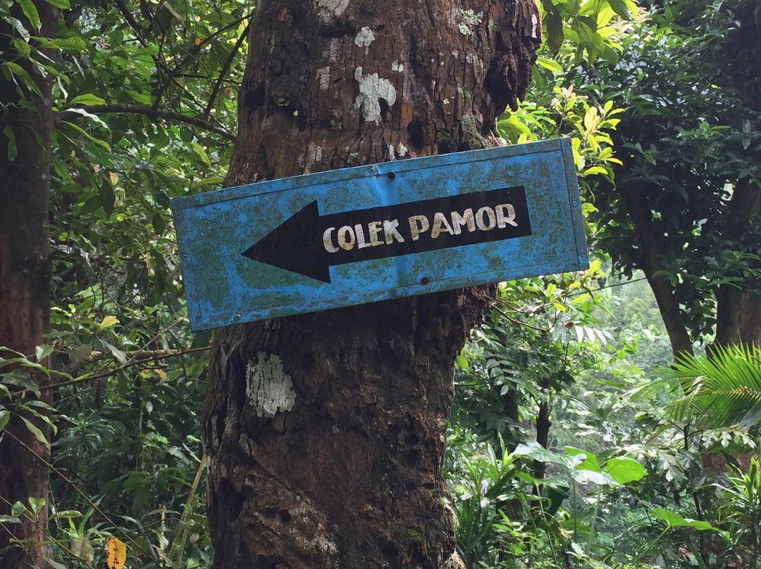 Colek Pamor Waterfalls景点图片