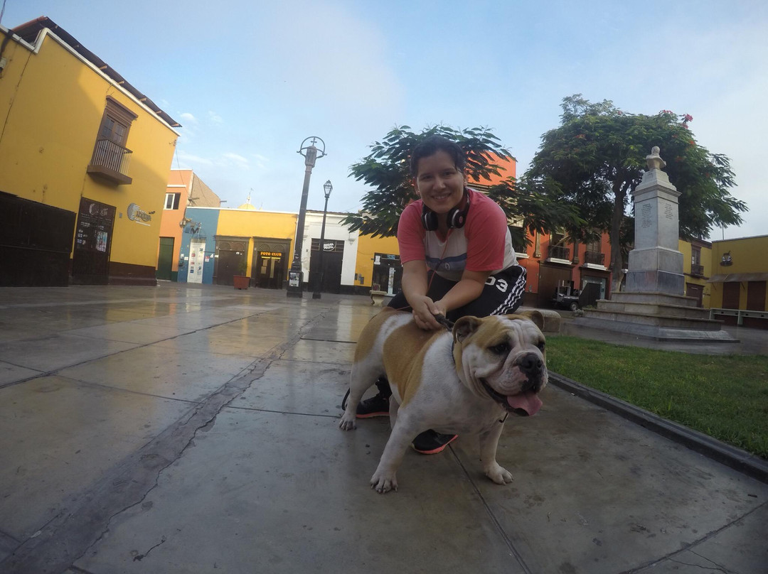 Iglesia de La Merced-特鲁希略必去景点