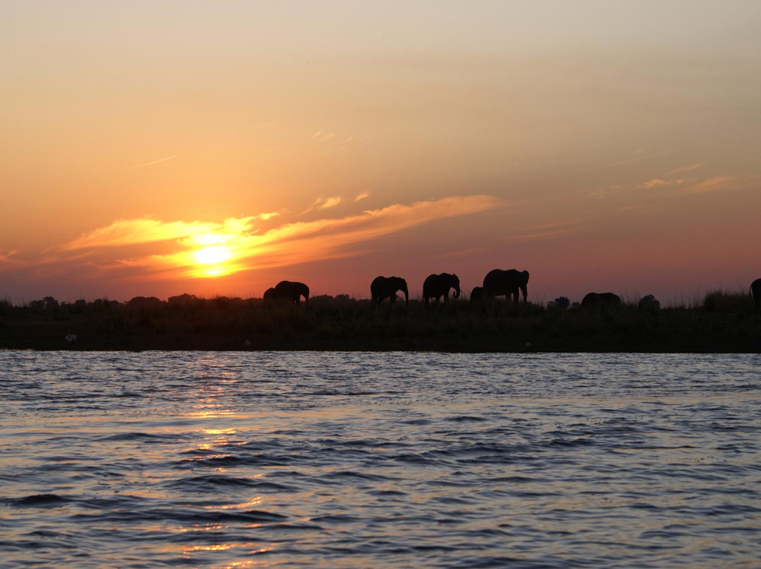 The Old House- Chobe Private activities and Safaris-卡萨尼必去景点