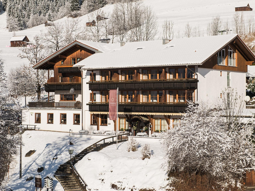Alpenhotel Sonneck主图