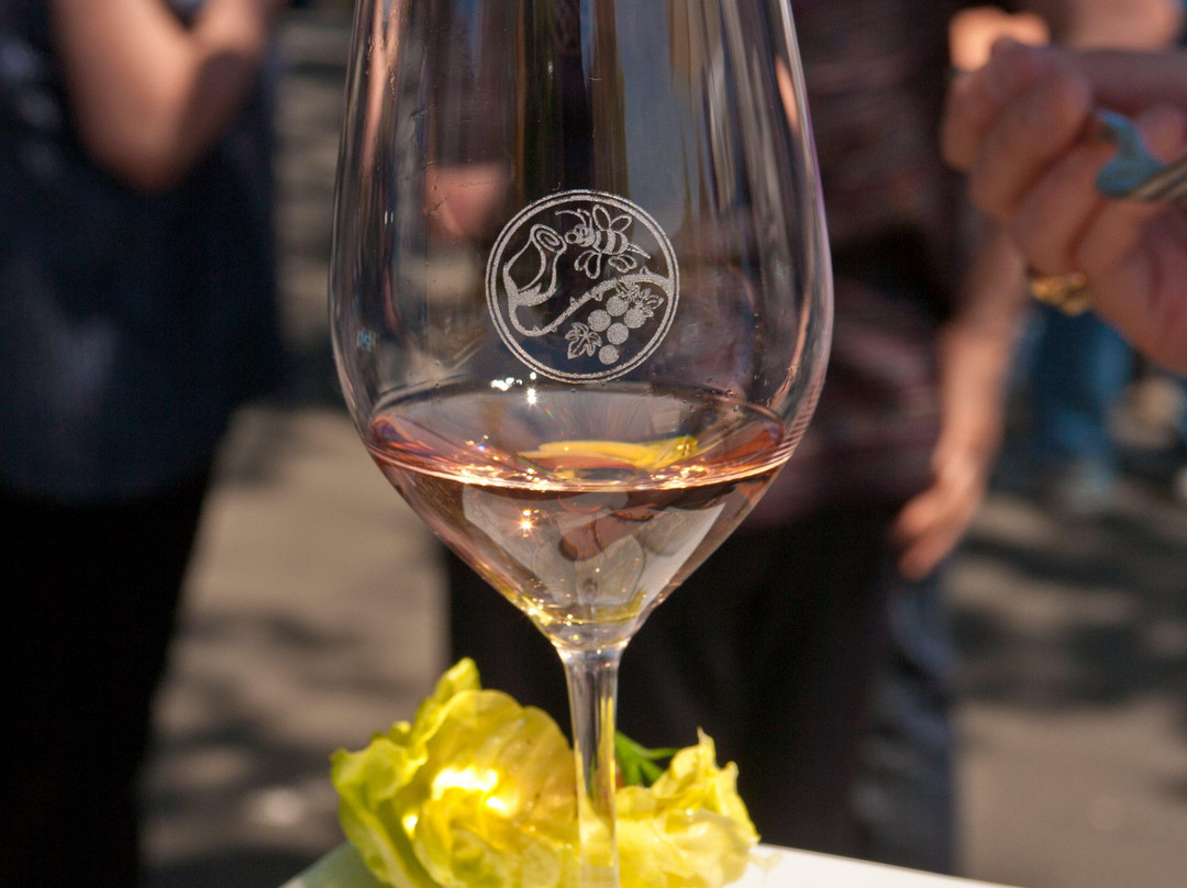 Lasseter Family Winery景点图片