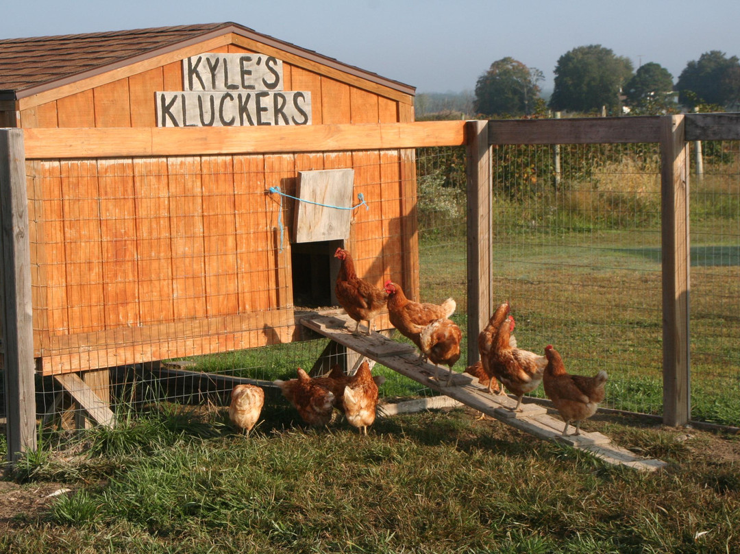 Emily’s Produce-坎布里奇必去景点