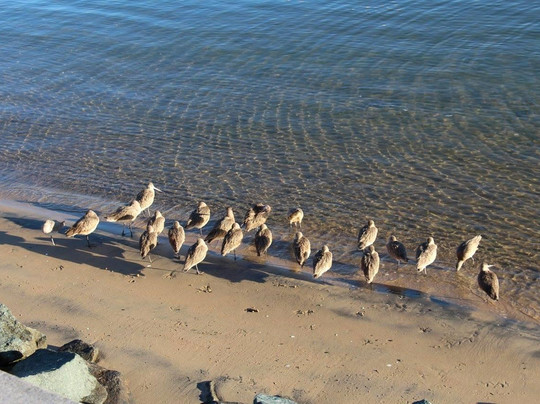 Bayshore Bikeway-Imperial Beach必去景点