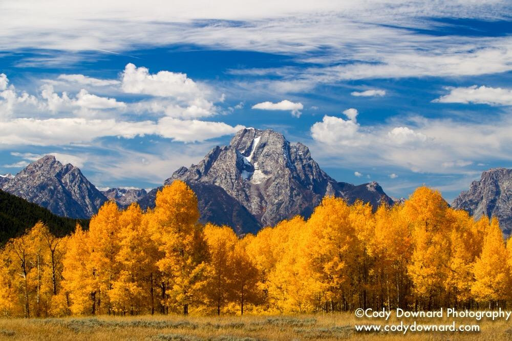 Cody Downard Photography Workshops and Tours-威尔逊必去景点