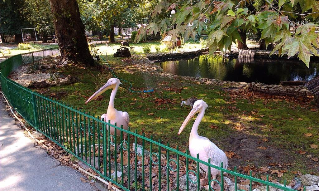 Zoopark景点图片