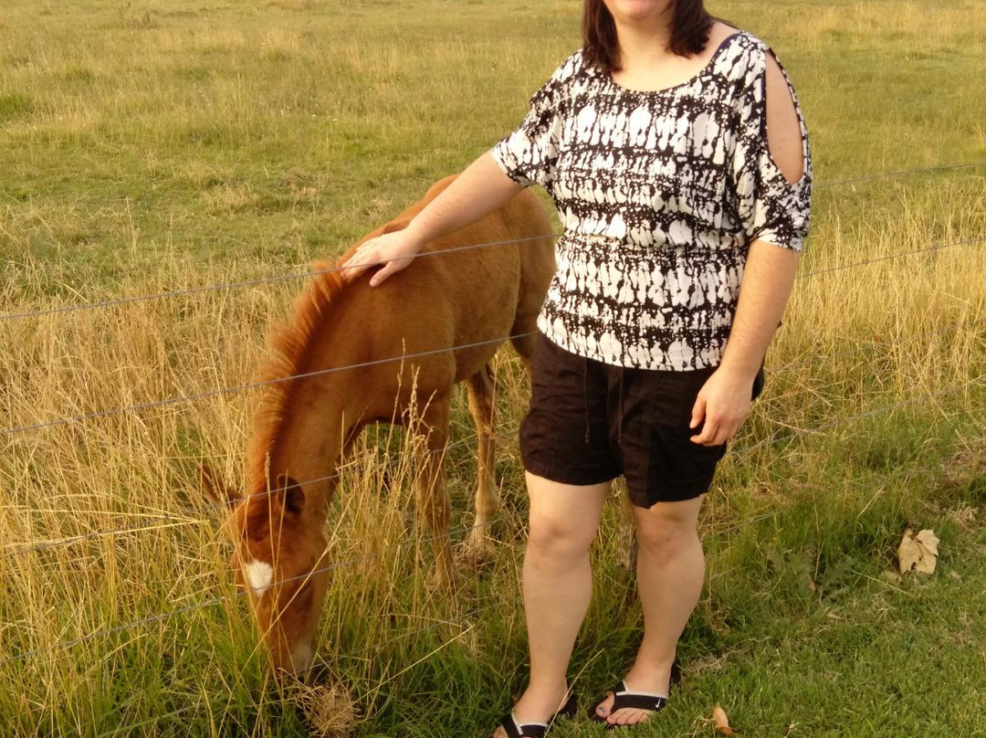 Refugio La Ballena主图