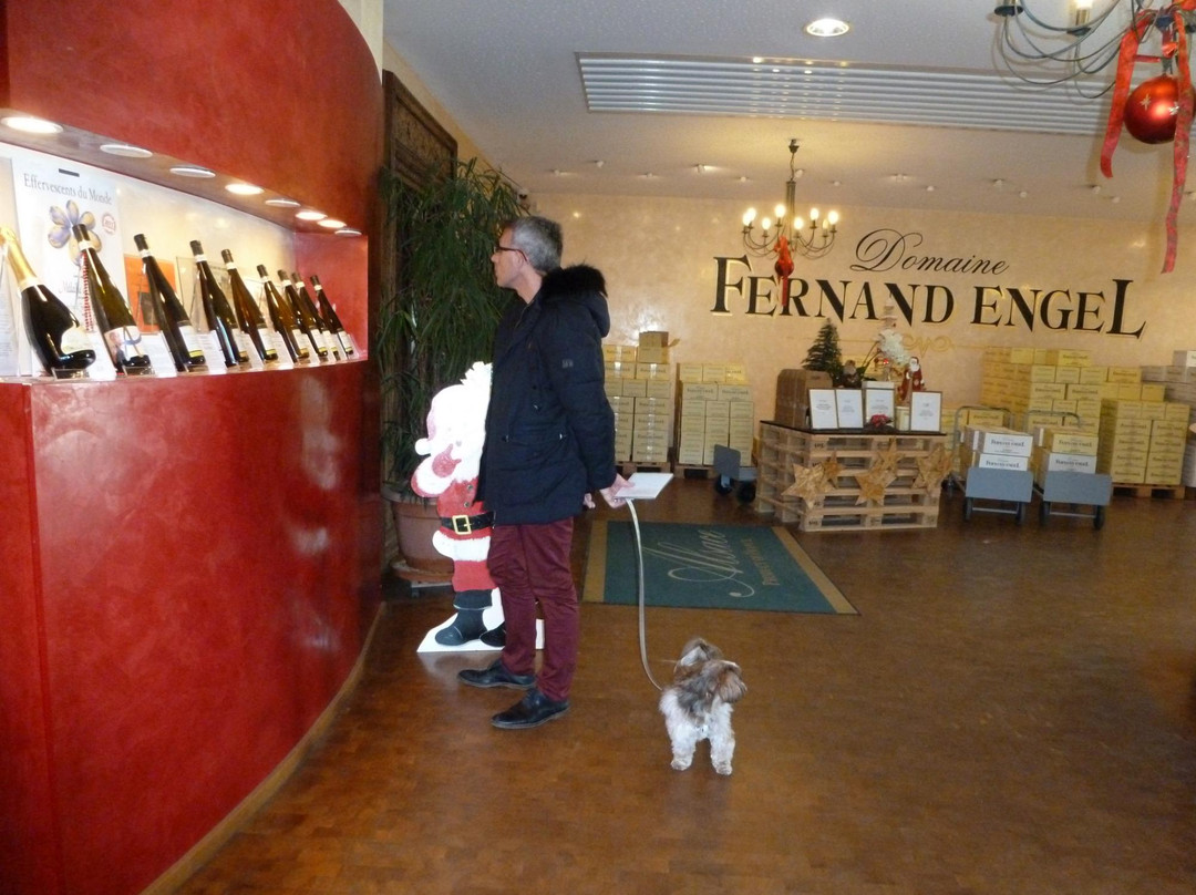 Domaine Fernand Engel景点图片