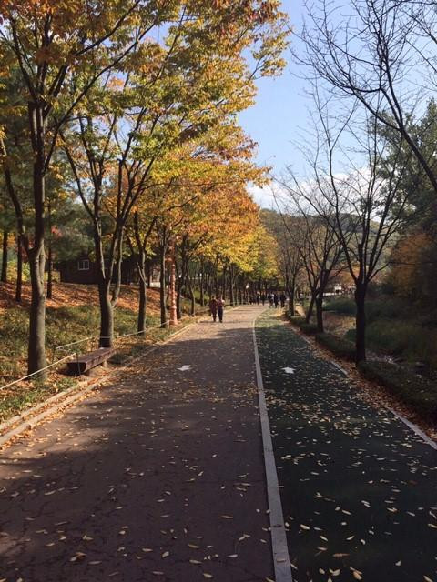 Yuldong Park-城南市必去景点