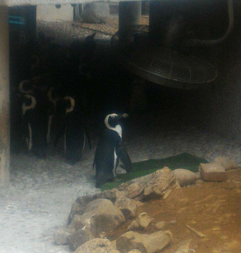 Bester Birds & Animals Zoo Park-比勒陀利亚必去景点