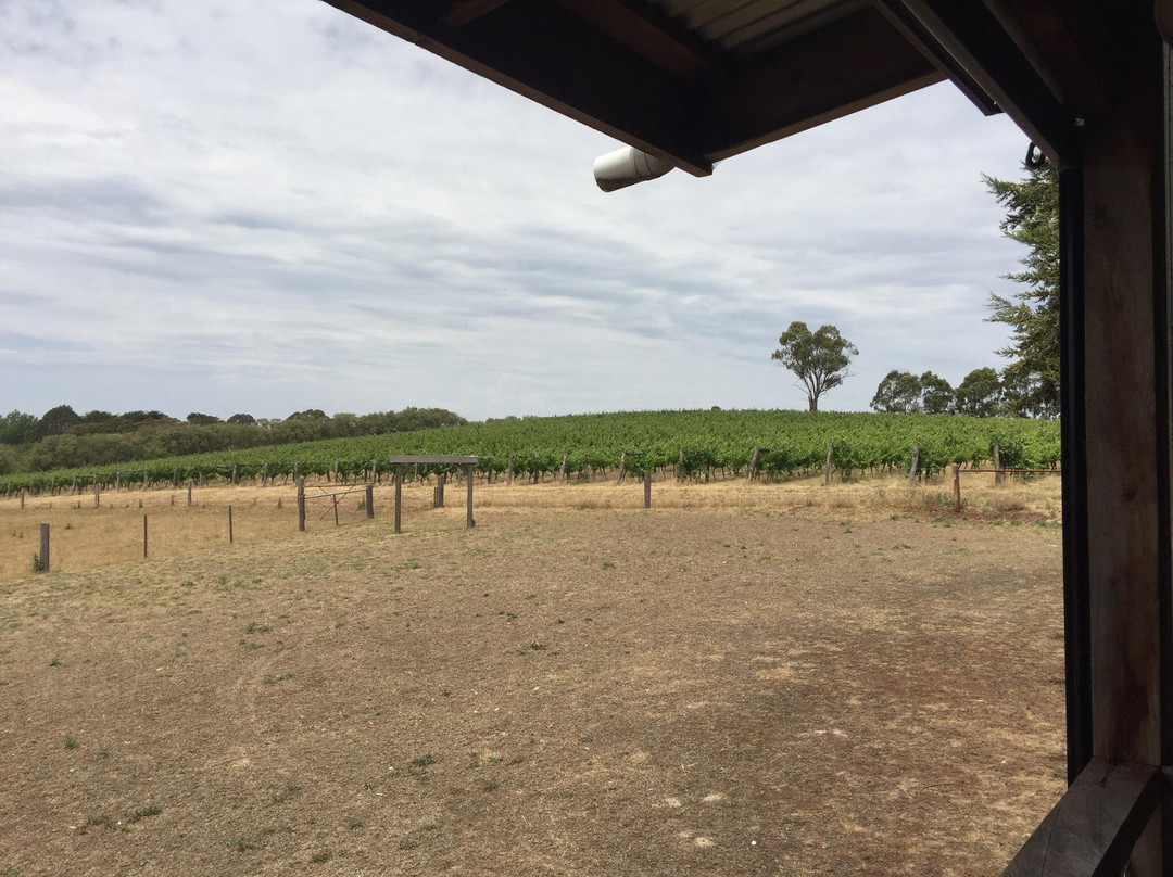 Captains Creek Organic Wines-Blampied必去景点