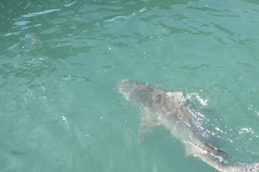 Sea Farming Demonstration Unit-尖竹汶必去景点