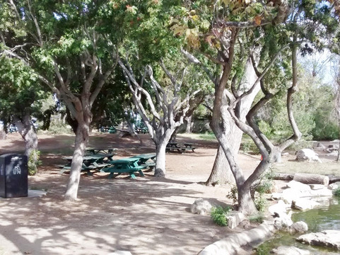 Hopkins Wilderness Park-雷东多海滩必去景点