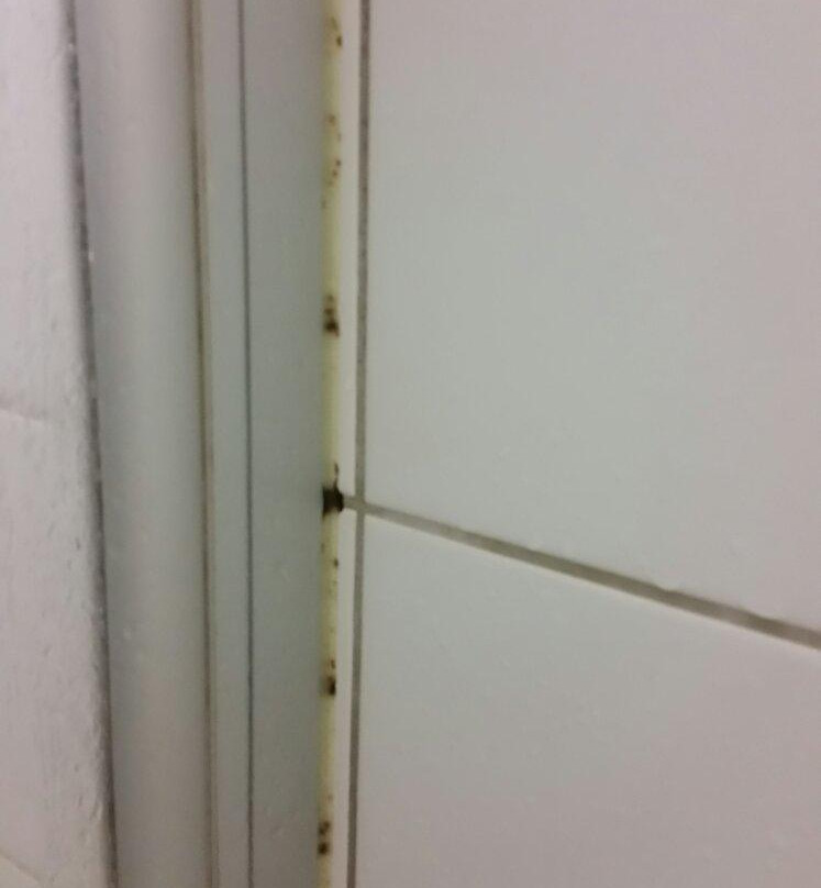 Gasthof Rose Inh. Rosemarie Merten主图