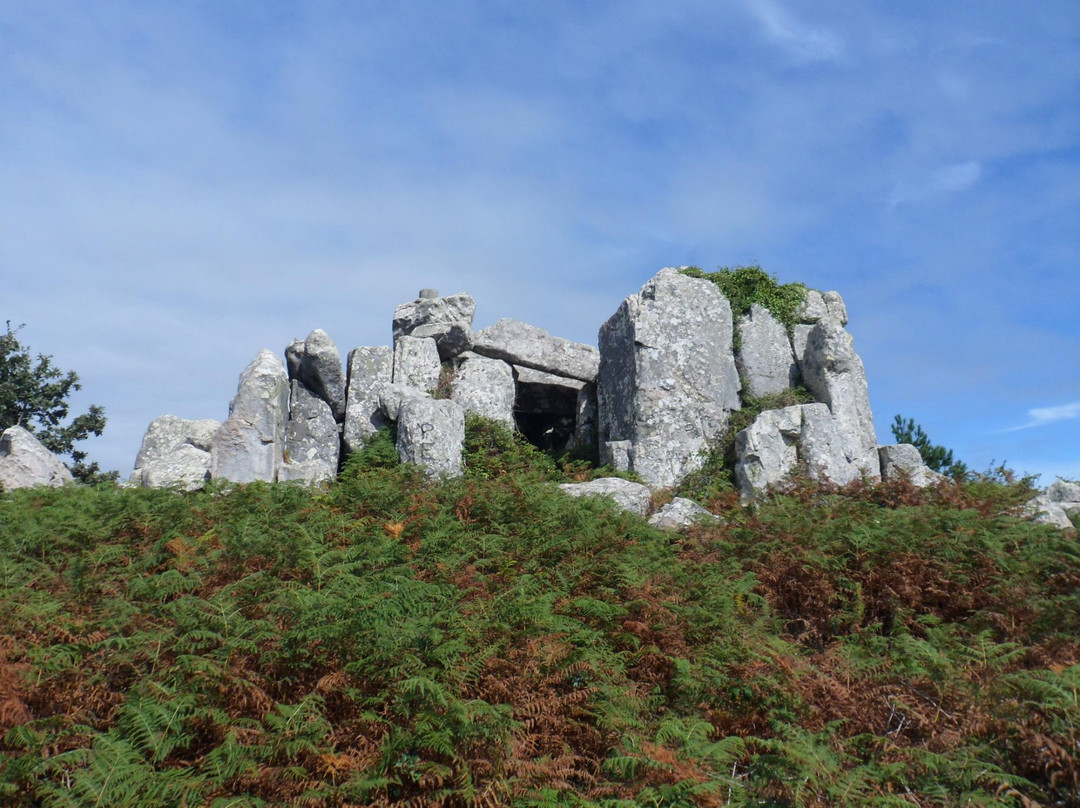 Penedo de Adrenunes景点图片