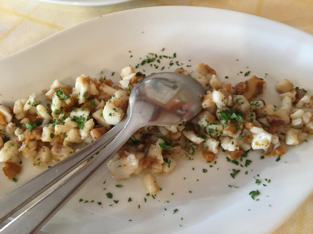 Chiareggio酒店住宿-Hotel Chiareggio