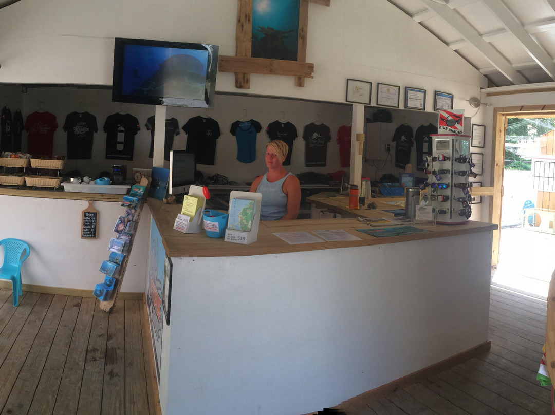 Octopus Diving-格兰德凯斯必去景点