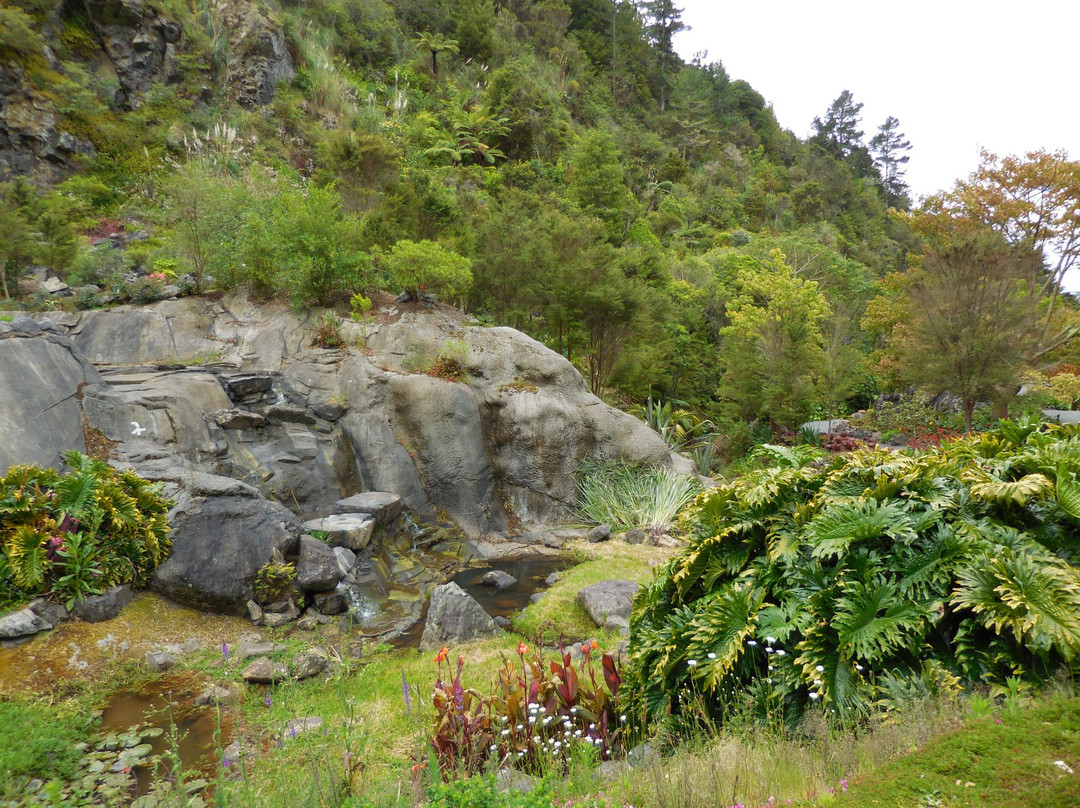 Whangārei Quarry Gardens景点图片