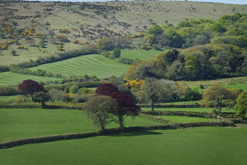 Copper Meadow at Trevadlock Farm主图