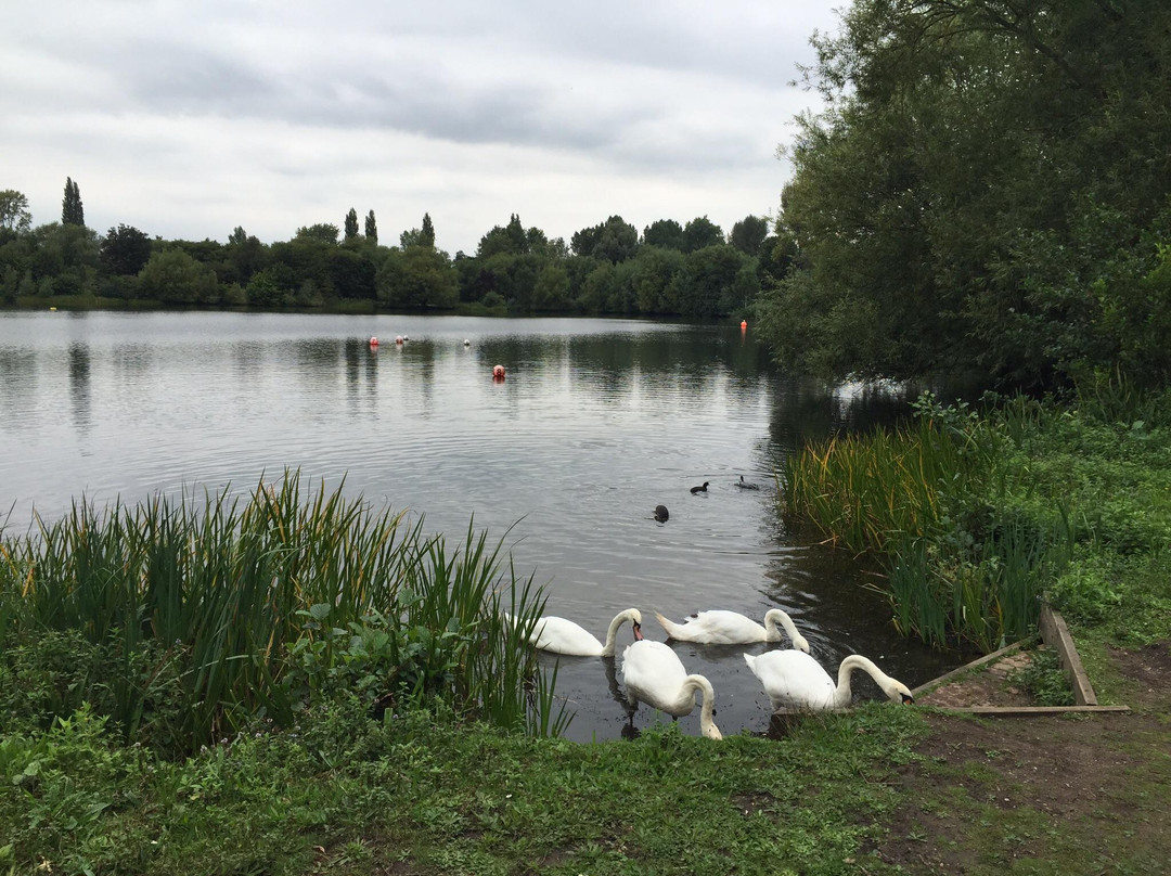 Rickmansworth Aquadrome景点图片